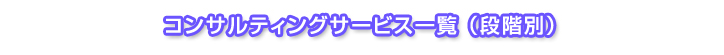 コンサルティングサービス一覧（段階別）