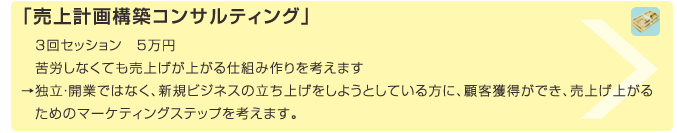 「売上計画構築コンサルティング」
