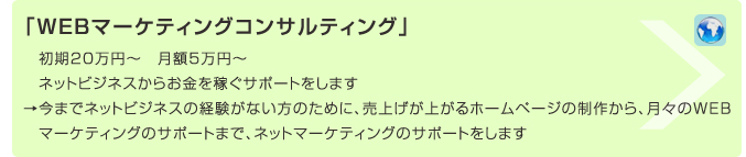 「WEBマーケティングコンサルティング」