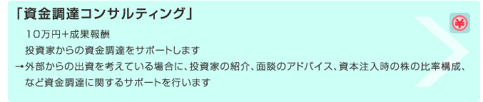「資金調達コンサルティング」